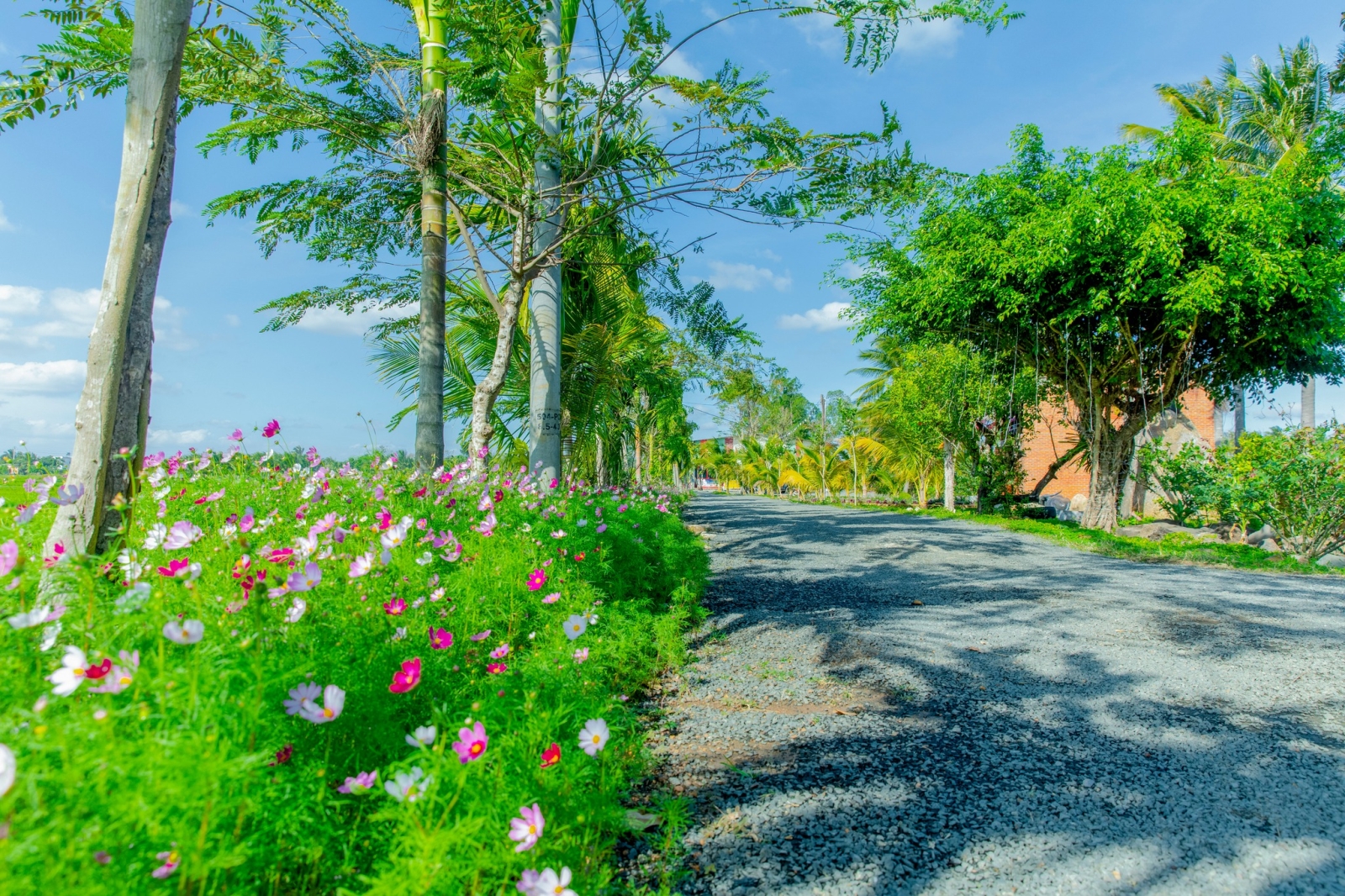 Không gian sinh thái xanh – thư giãn